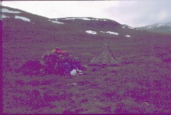 Jollanoaivin itpuolella 4.7.1984