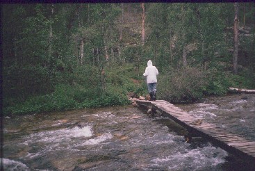 Silta Ravadask&ouml;nk&auml;&auml;ll&auml; 20.7.1989