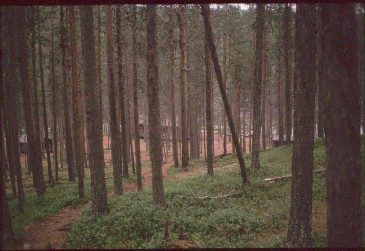 Ravadasj&auml;rven tupa  20.7.1989