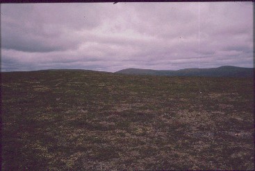 J&auml;k&auml;l&auml;p&auml;&auml;lt&auml; koilliseen 22.7.1989