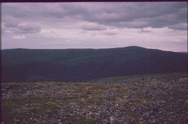 Morgam Viibus Morgam Marakselta 23.7.1989