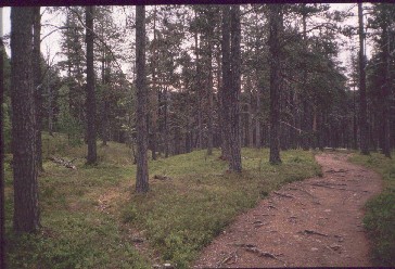 Hengenahistuksenm&auml;ki 24.7.1989