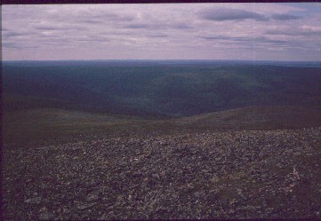 Morgam Viibukselta lounaaseen 24.7.1989