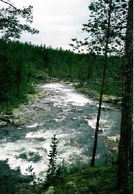 Suomuk�ng�s 25.7.1988