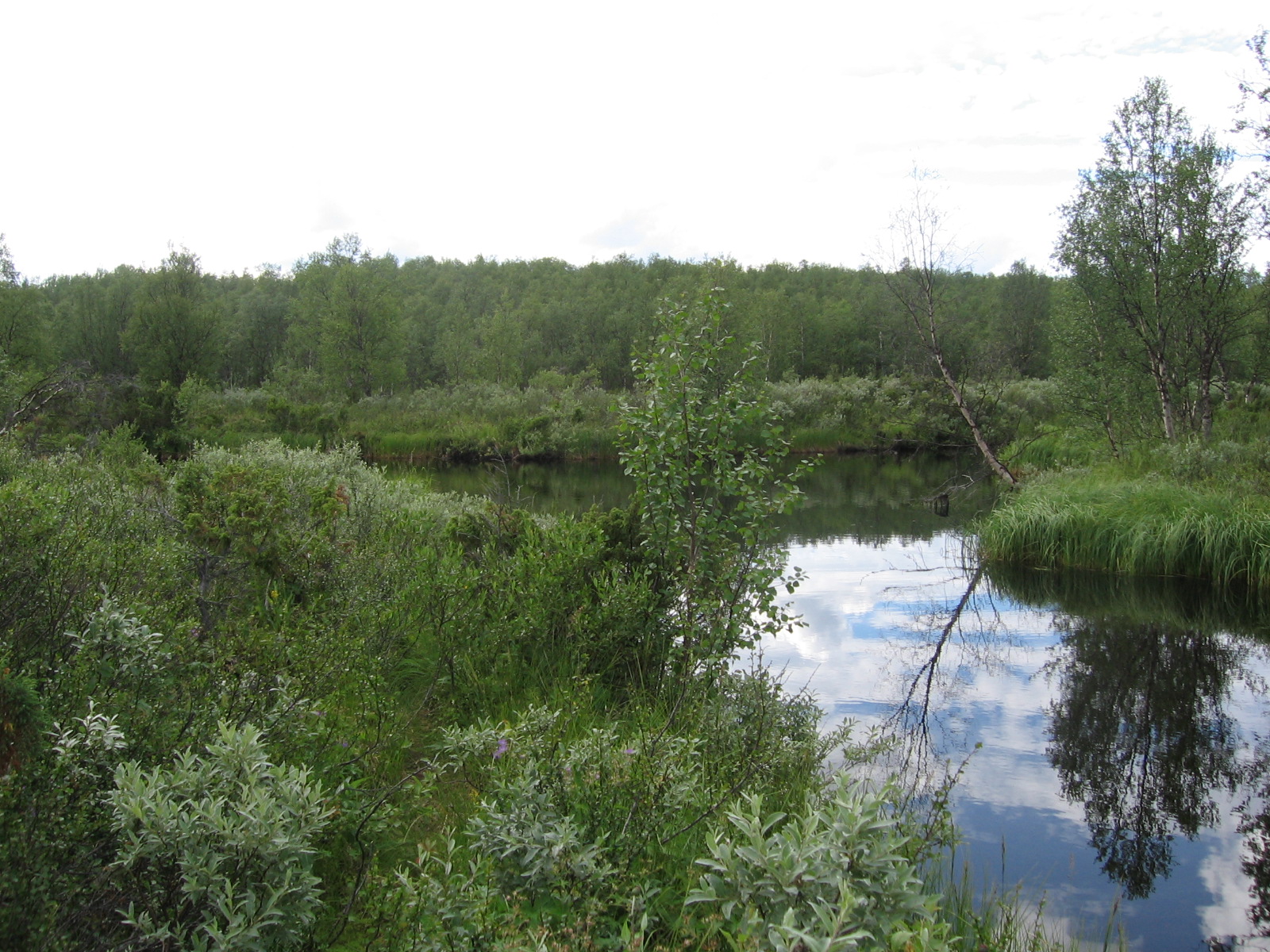  N�kk�l�joki ja Kalmakaltionoja 16.7.2011