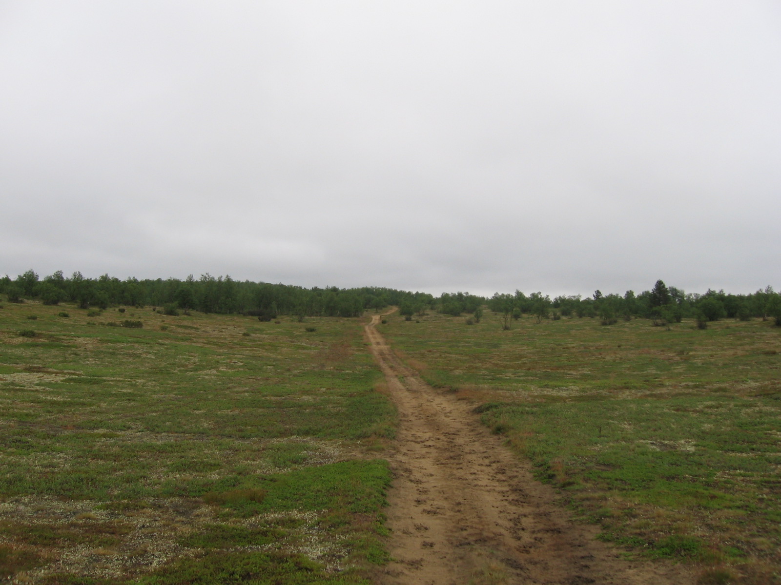 Kohti Peltotunturia 17.7.2011