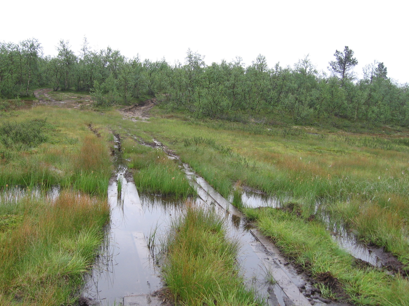  Kohti Peltotunturia 17.7.2011