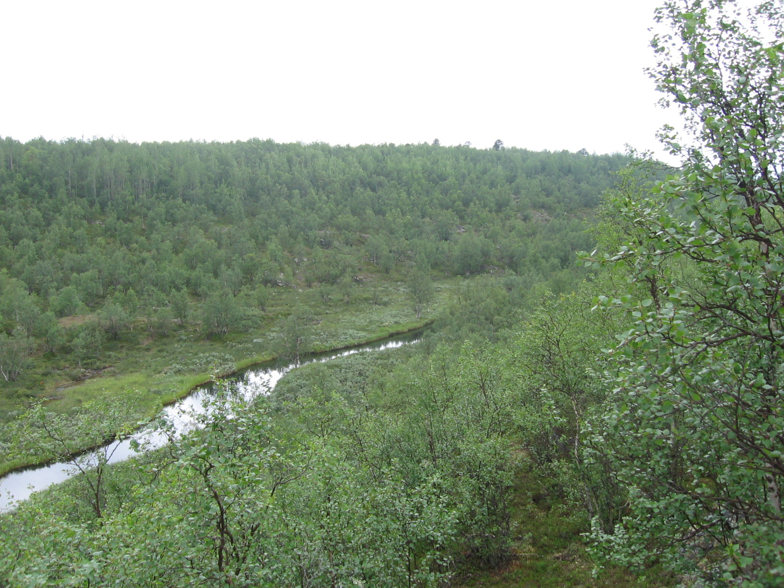  Vaskojoki 18.7.2011