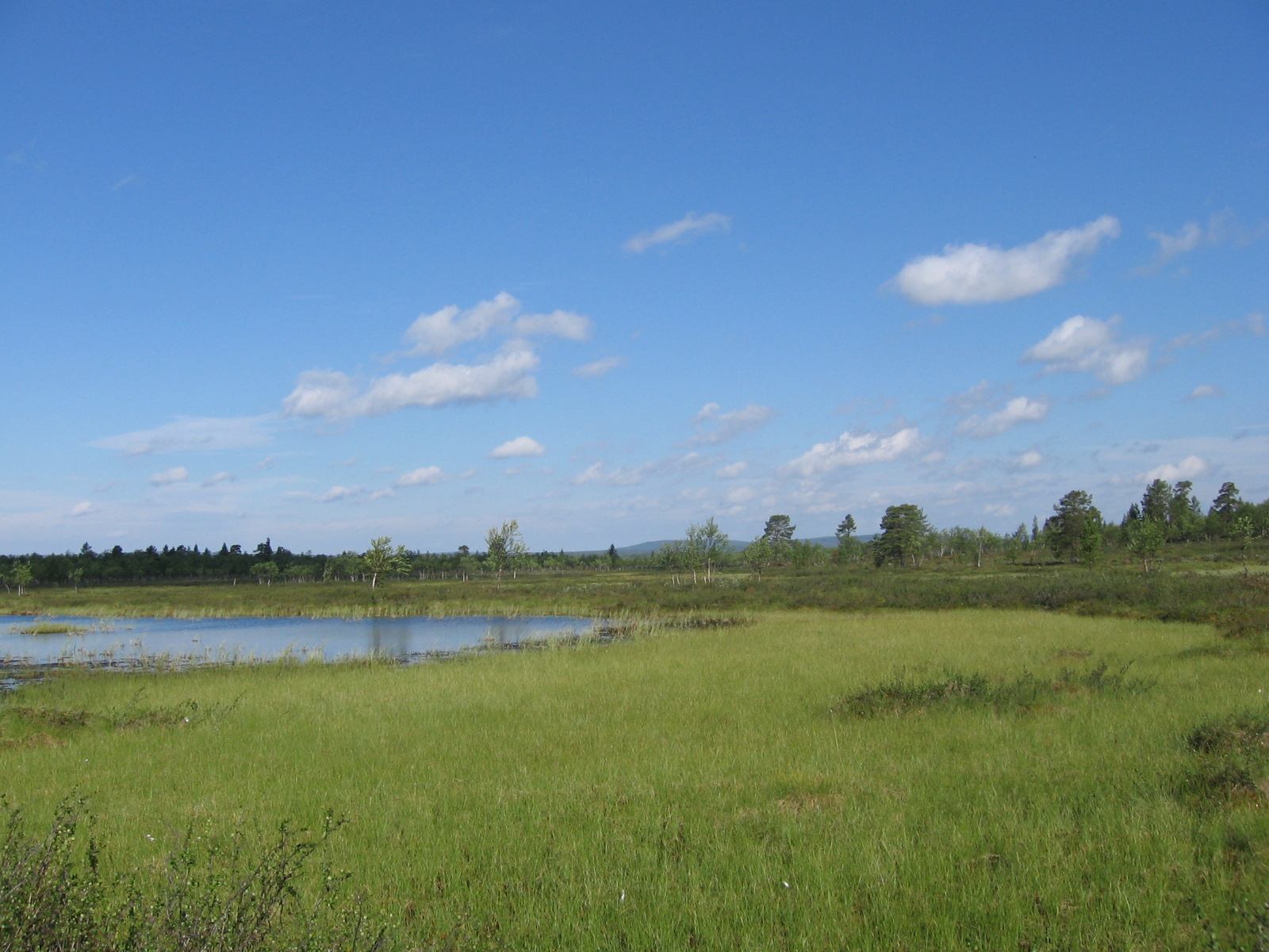  Repovaaran l�nsipuolelta 19.7.2011