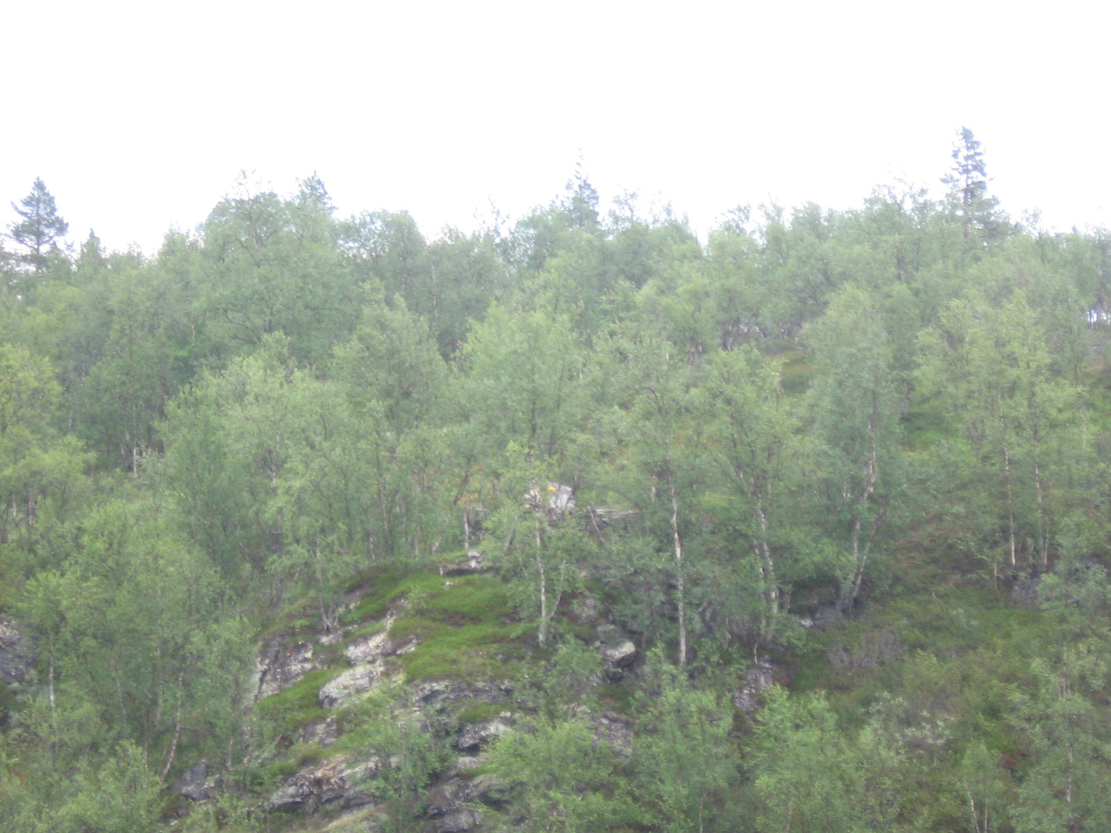 Huuva�ytsin kivik�mpp� 19.7.2011
