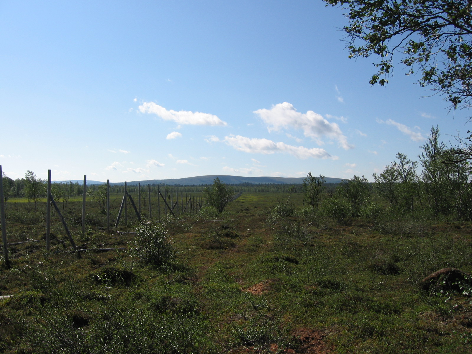  Korsatunturi pohjoisesta 20.7.2011