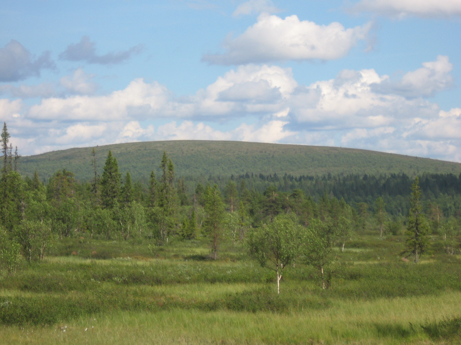  Korsatunturi
20.7.2011