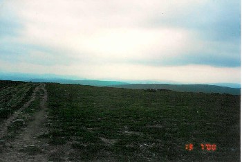 Niilanp��n rinteilt� 13.7.2000