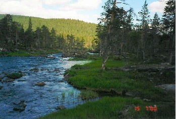 Porttikoski 15.7.2000