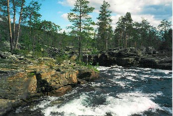 Porttikosken silta 15.7.2000