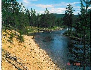Suomun varren maisemia Porttikoskelta alavirtaan 15.7.2000