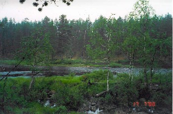 Suomu Snellmanin majan kohdalla 17.7.2000