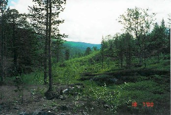 Ruopimap��t 18.7.2000