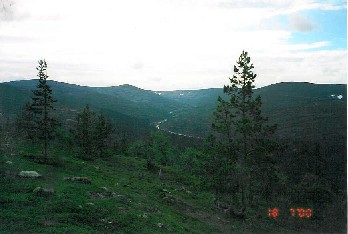 Ukselmakuru 18.7.2000
