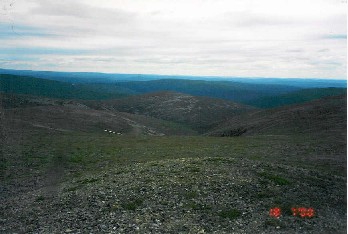 Ukselmakuru Sollanp��lt� 18.7.2000