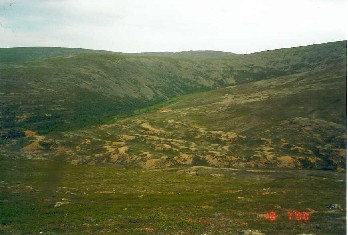 Paratiisikuru Vaulop��lt� 18.7.2000