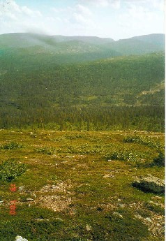 Kuotmuttip��lt� Pirunporttiin p�in 19.7.2000