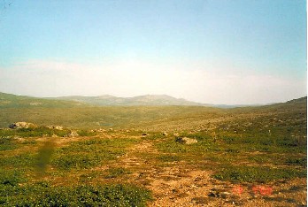 Lupukkap��n rinteilt� Sokostille p�in 19.7.2000