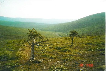 Lupukkap��n rinteilt� lounaaseen 19.7.2000