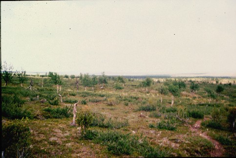 Kohti Akukammia 16.7.1998