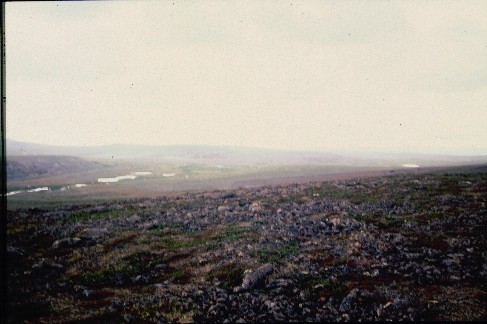 Gaimmioaivilta etel��n 17.7.1998