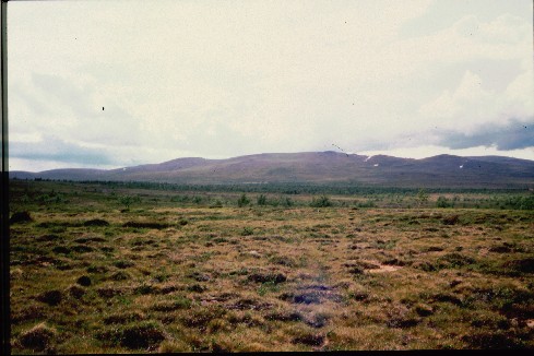 Gaimmioaivi luoteesta 18.7.1998