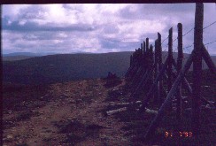 Kiilop��lt� 31.7.1999