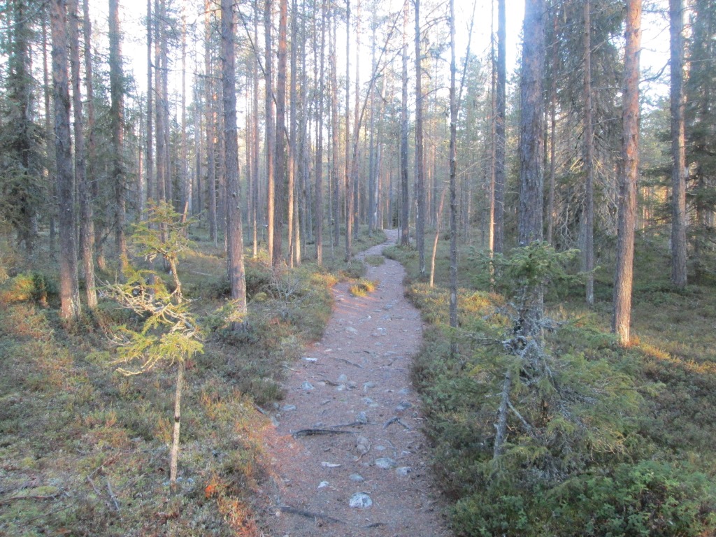 Ristikallion tupa 23.10.2018