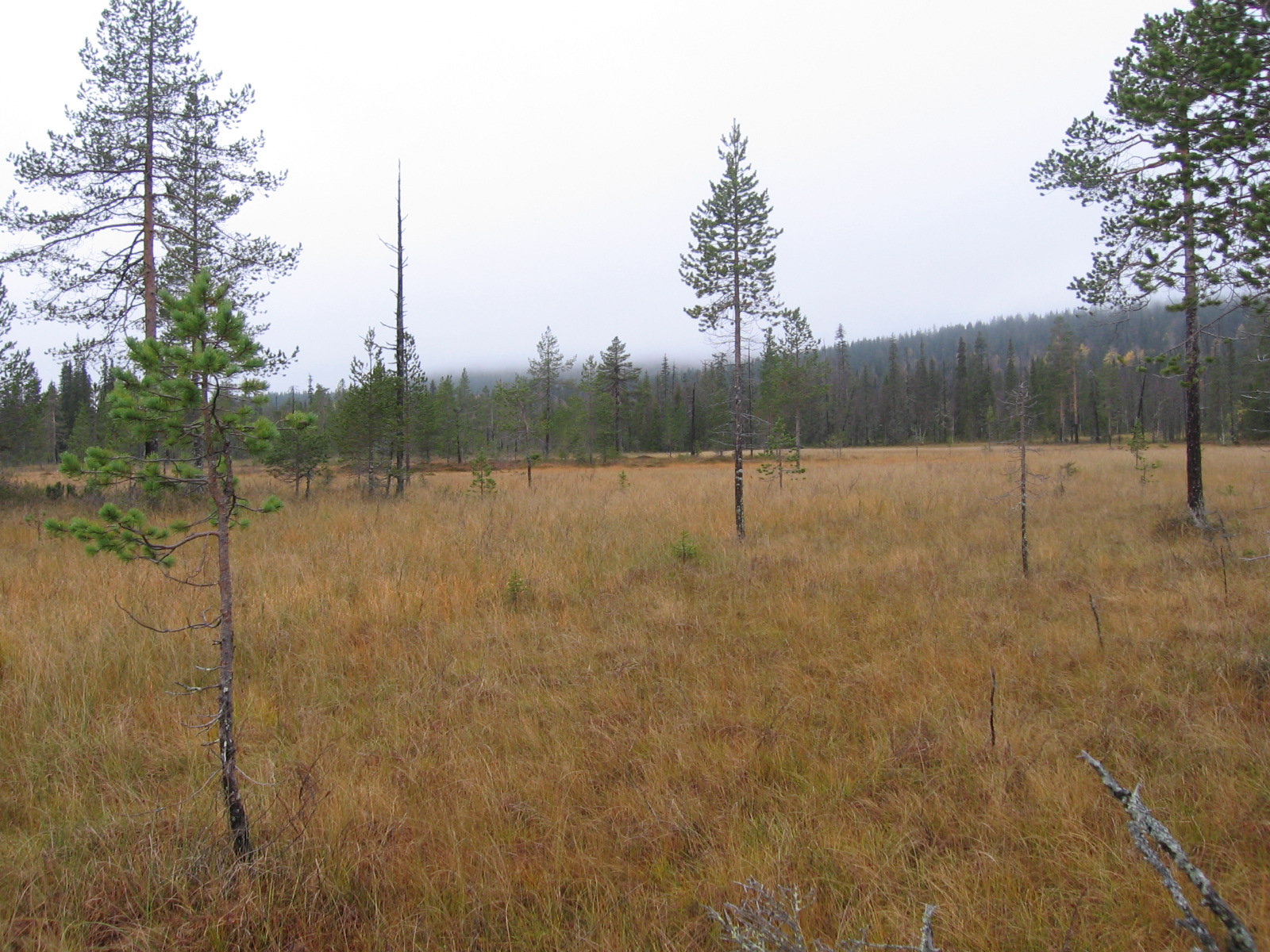  Pyh�j�rvelt� Lainion suuntaan 25.9.2011