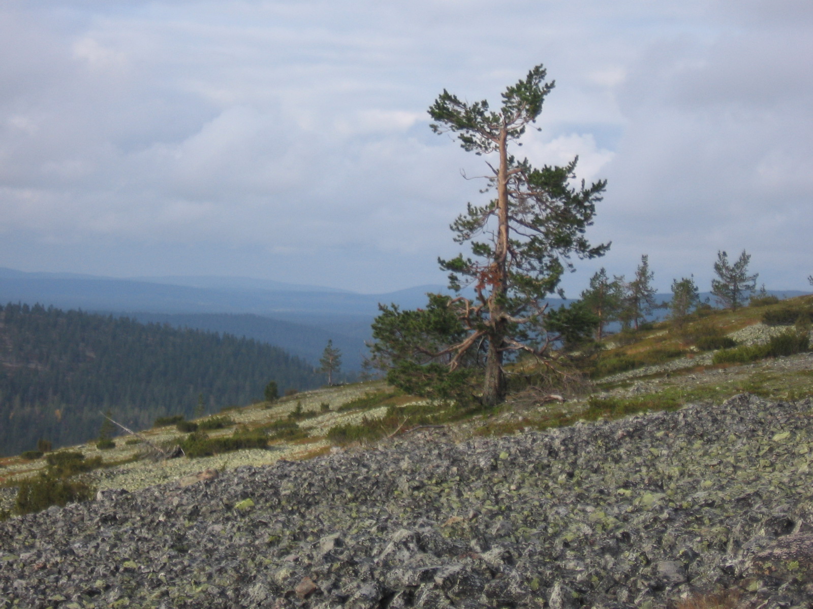 Lainion kivikkoinen rinne 25.9.2011